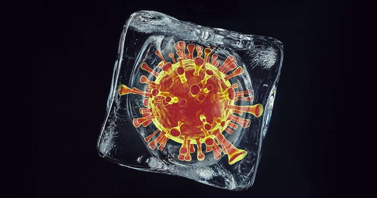 Oživljeni rekordno stari virusi iz sibirskog leda. Zašto i je li to dobro?