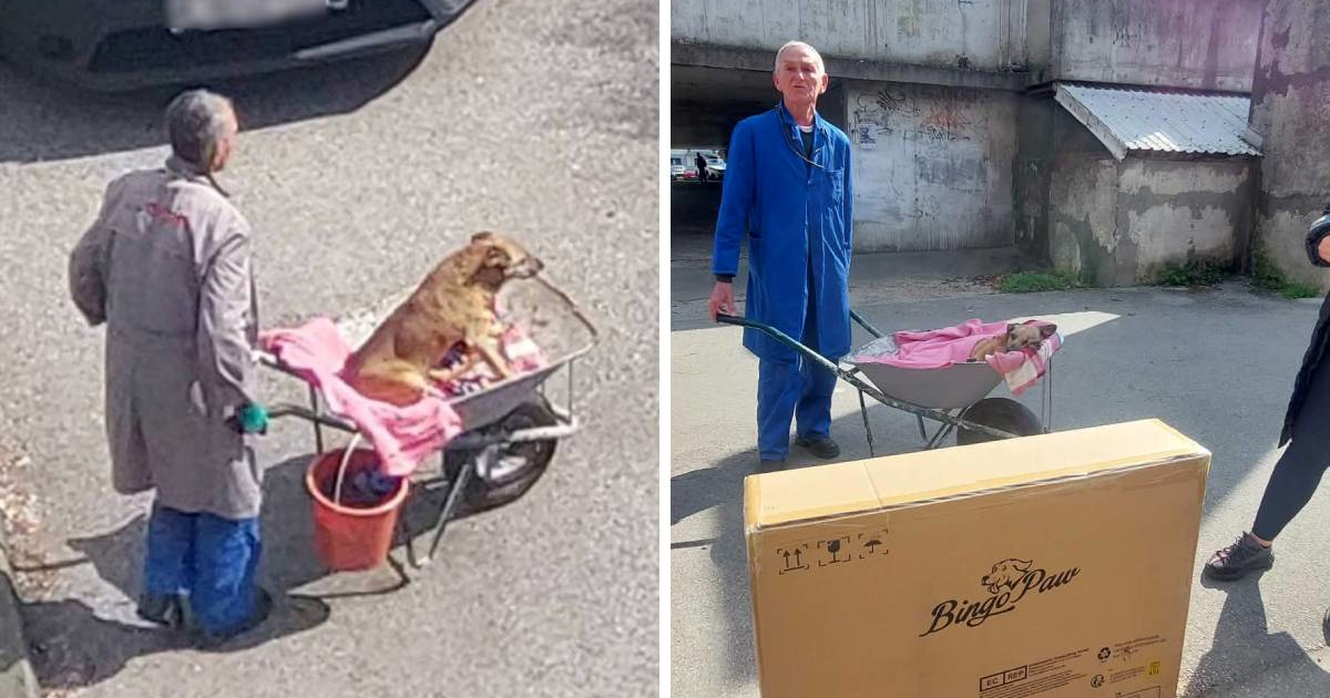 Zagrepčaninu koji svaki dan vozi bolesnog psa na livadu dobri ljudi donijeli kolica
