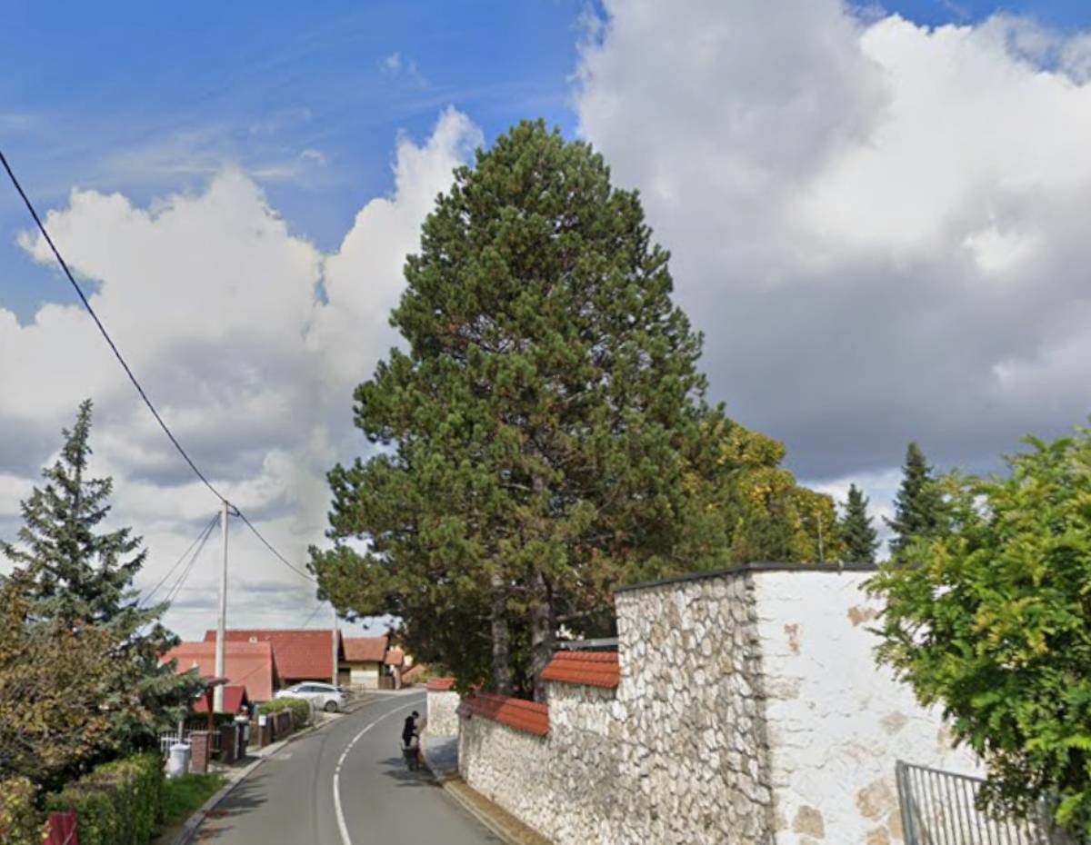 Mušakrac (71) kod Varaždina pucao u drugoga (78)