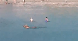 VIDEO Kupače na Visu iznenadilo s kim se ovaj čovjek zaputio u more