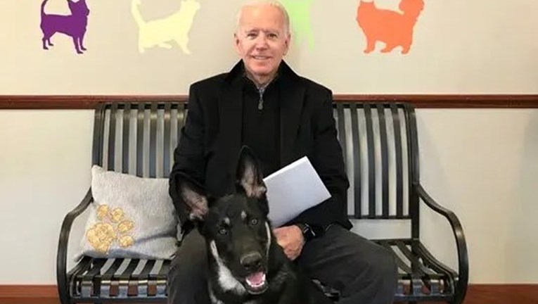 Od azila do Bijele kuće: Bidenov pas Major ulazi u povijest