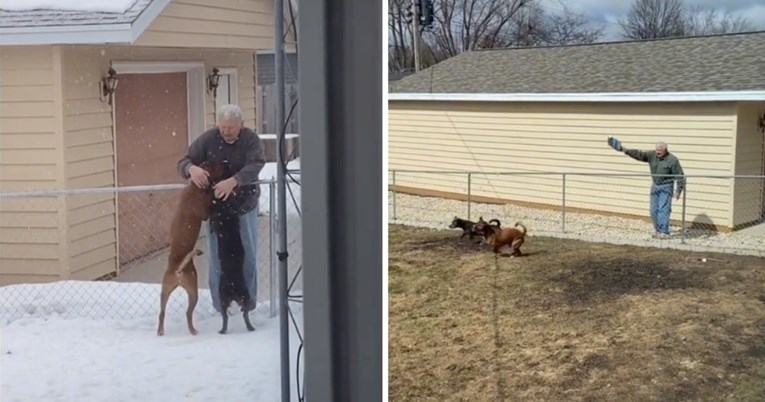Snimka prijateljstva između dva psa i njihova susjeda oduševila ljude na internetu