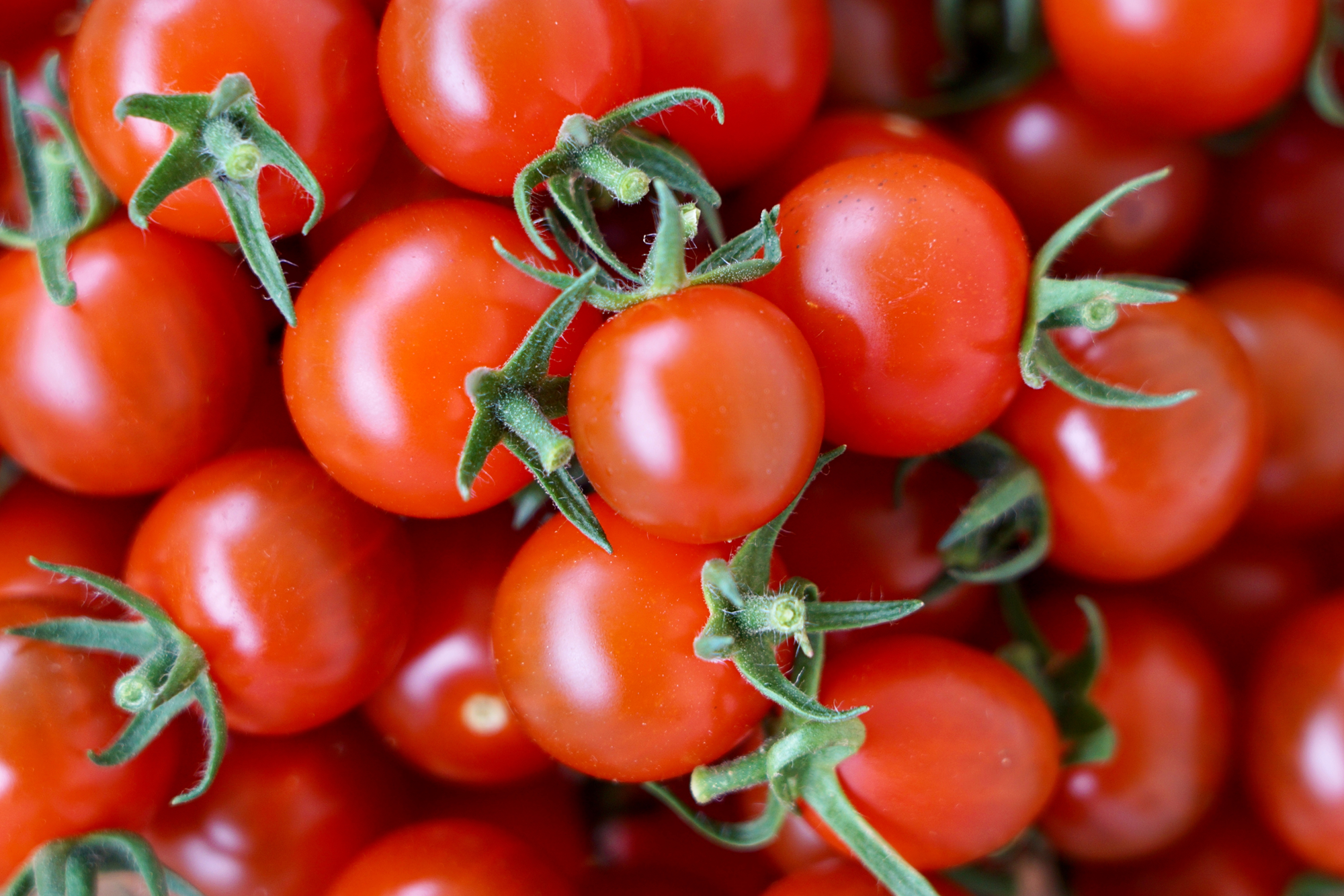 Preko 130 zaraženih salmonelom u Italiji, sumnjive rajčice distribuirane i u Hrvatsku