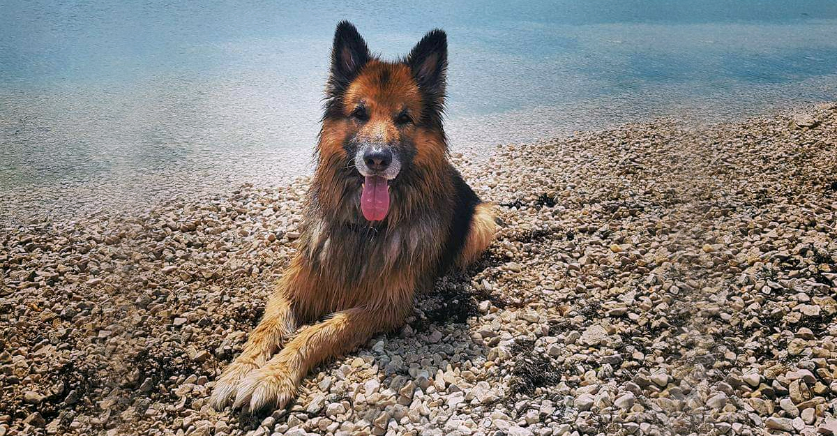 Kao vjetar godine prolaze, mi ostajemo, ljubimci odlaze