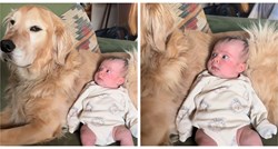 Pogledajte urnebesnu reakciju bebe koja je prvi put primijetila kućnog ljubimca