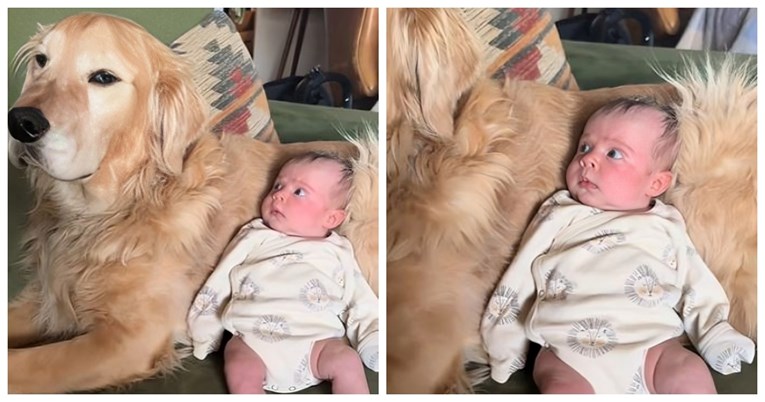 Pogledajte urnebesnu reakciju bebe koja je prvi put primijetila kućnog ljubimca