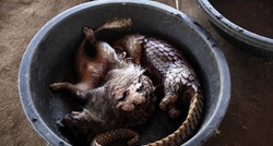 Vijetnam zbog straha od novih pandemija zabranio trgovinu divljim životinjama