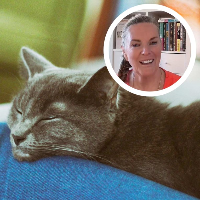 Bihevioristica otkriva zašto mačke vole spavati na vlasnicima