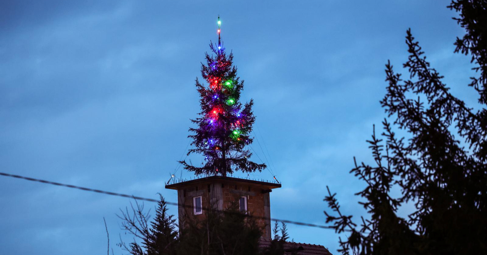 Na krovu jedne obiteljske kuće u zagrebačkom Vrapču stoji okićena jelka