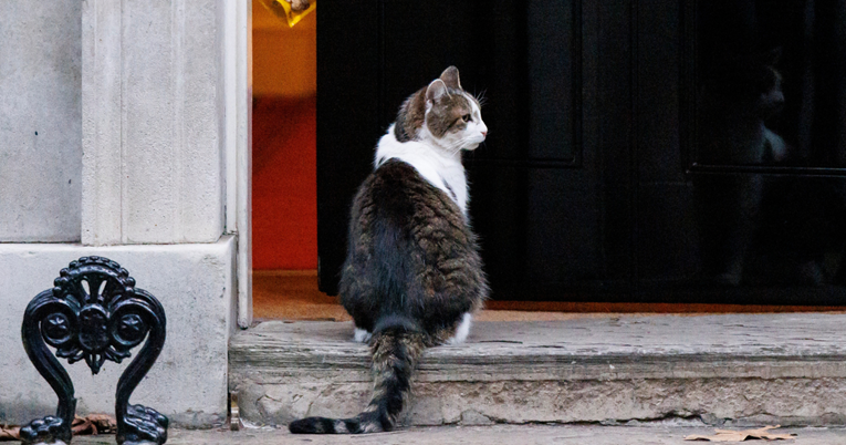 Vladari se mijenjaju, mačak ostaje: Larry iz Downing Streeta čeka svog 6. premijera