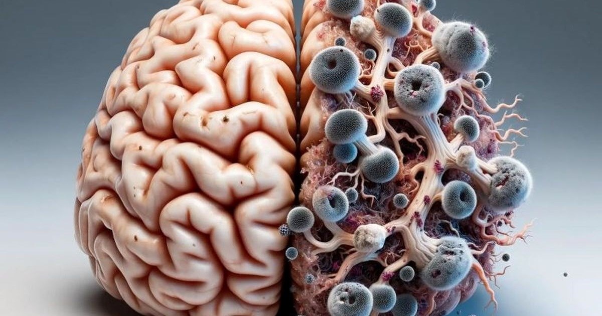 Mogu li gljivice preuzeti kontrolu nad vašim mozgom?