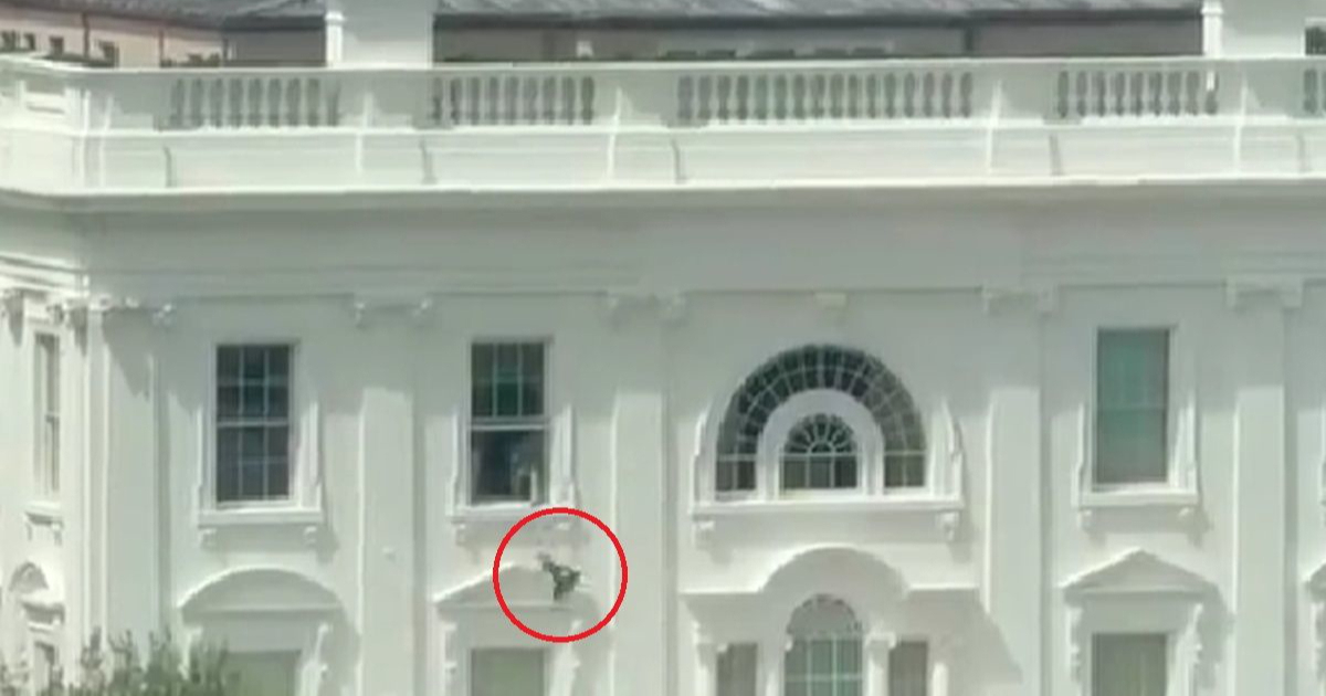 VIDEO S prozora Bijele kuće bačena crna vreća. Što je u njoj?