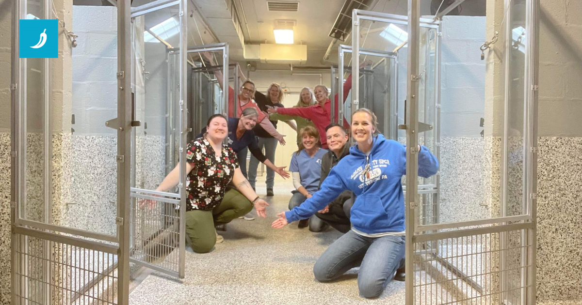 Prvi put u 47 godina ispraznili sklonište za životinje u Pennsylvaniji