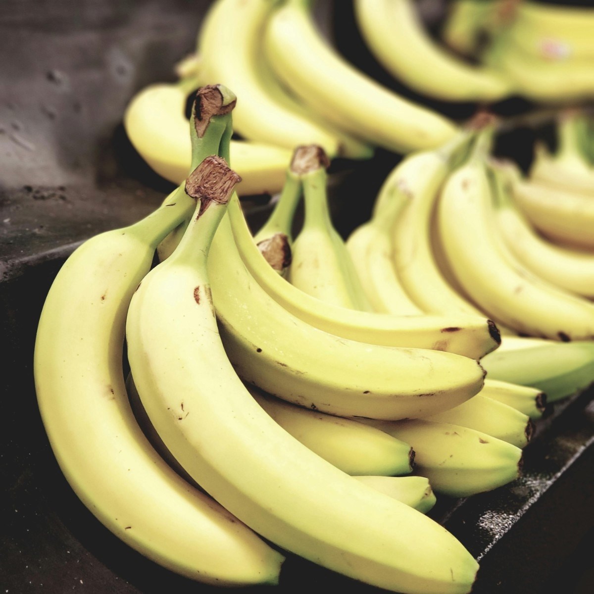 Jedete banane svaki dan? Evo što time činite za organizam i zdravlje