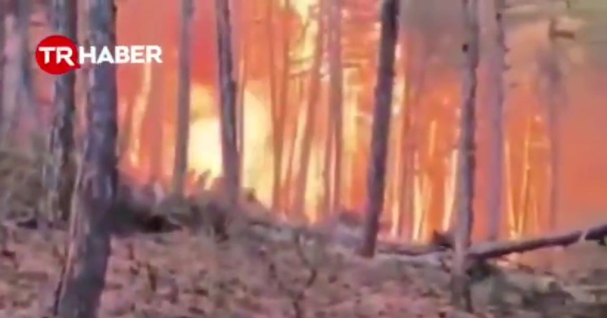 U požaru u Turskoj poginulo najmanje 10 vatrogasaca i spasilaca