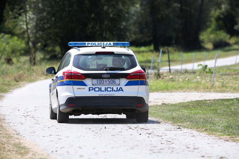 Veterinar im došao izliječiti bolesnu kravu, oni ga napali vilama. "Probodi ga"