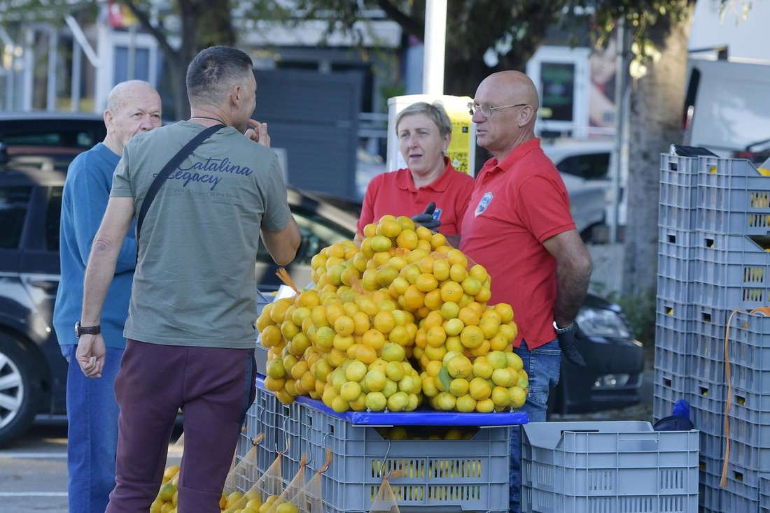 Stigle prve domaće mandarine iz doline Neretve, pogledajte cijenu
