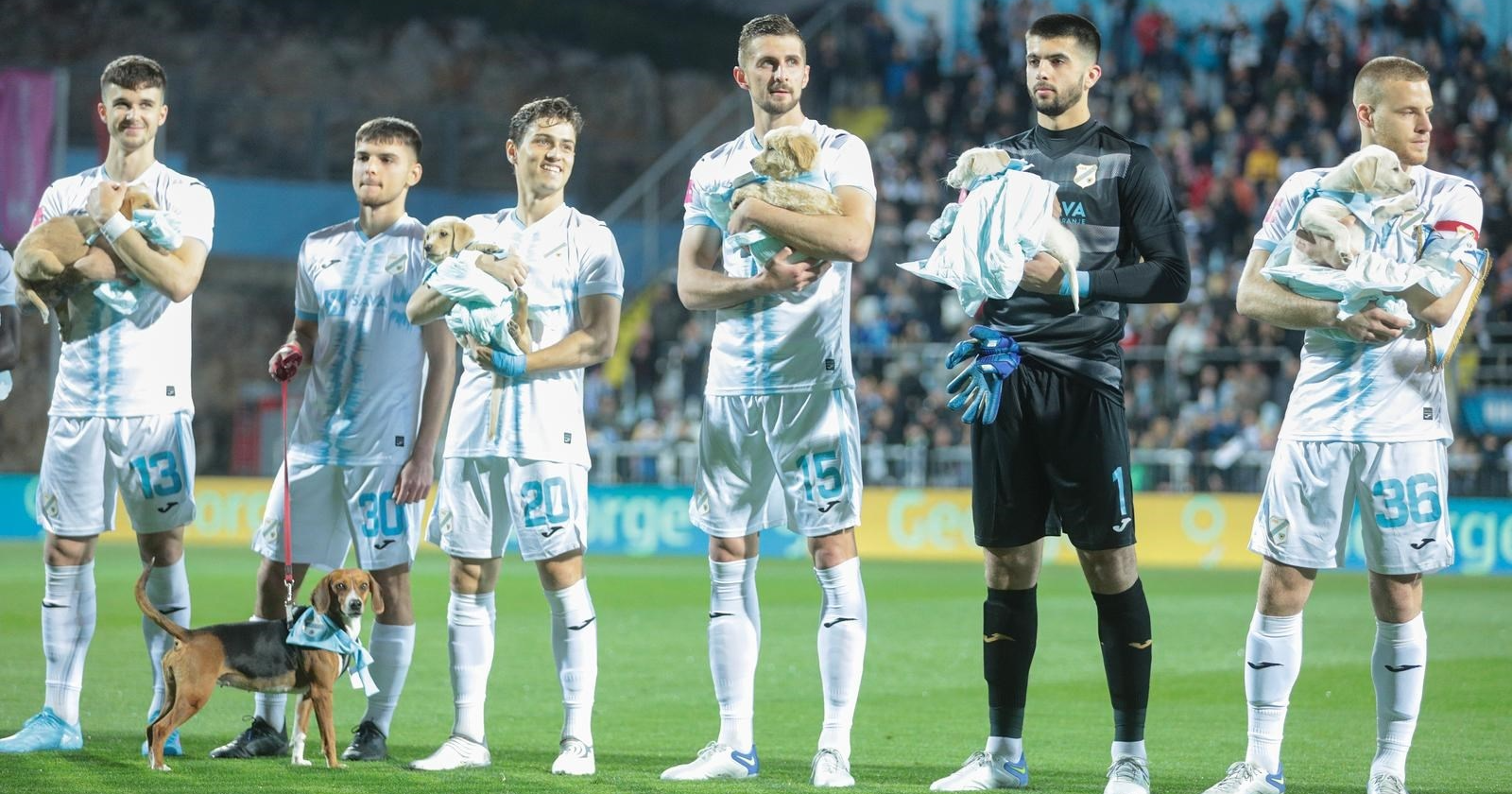 Nogometaši Rijeke na teren izašli s 11 psića i tako podržali akciju udomljavanja