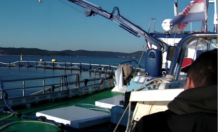 Povećava se kvota izlova tune. Uzgajivači: Problem je što cijena pada