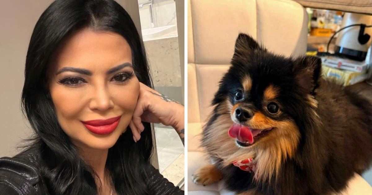 Vjekoslava Bach: Ukraden mi je pas, našla sam ga na oglasima. Prijavljeno je policiji