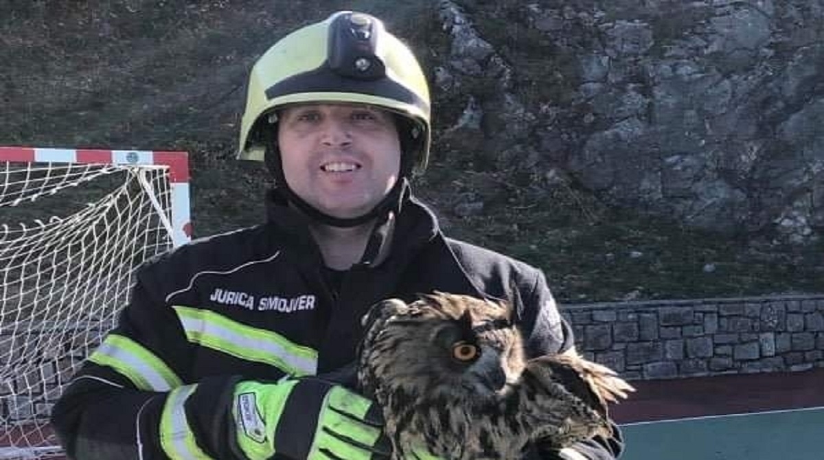 Akcija senjskih vatrogasaca oduševila ljude, spasili sovu zapetljanu u mreži