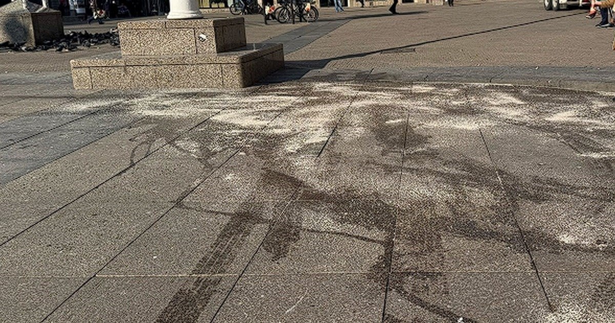 Na Trgu bana Jelačića netko je pobio golubove