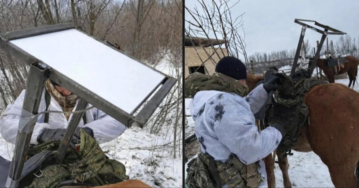 Šire se snimke: "Rusi montiraju Starlink na konje na bojištu"