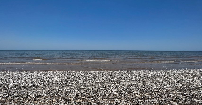 Uginule ribe plutaju duž plaža na obali Meksičkog zaljeva