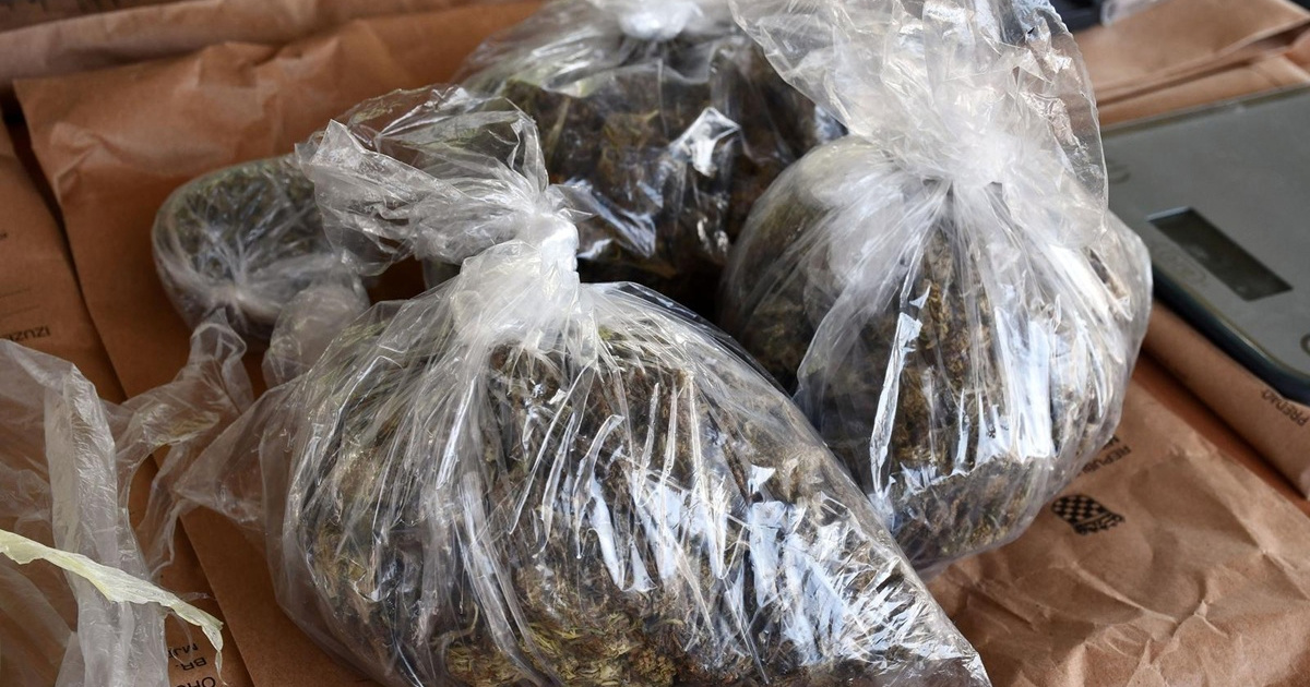 Ženi (54) u Novalji određen istražni zatvor zbog 2.7 kg marihuane