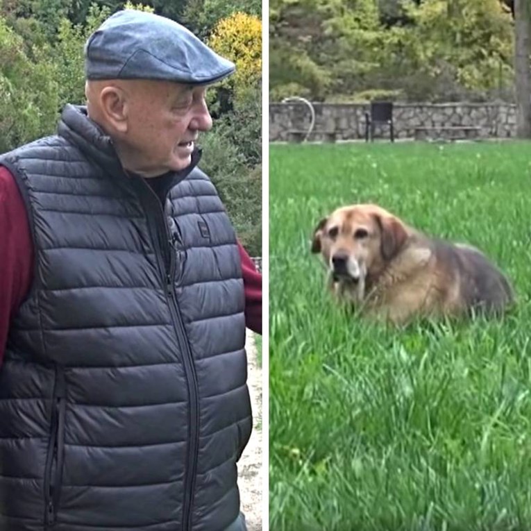 Halidov pas nakon njegove smrti ne jede i ne pije