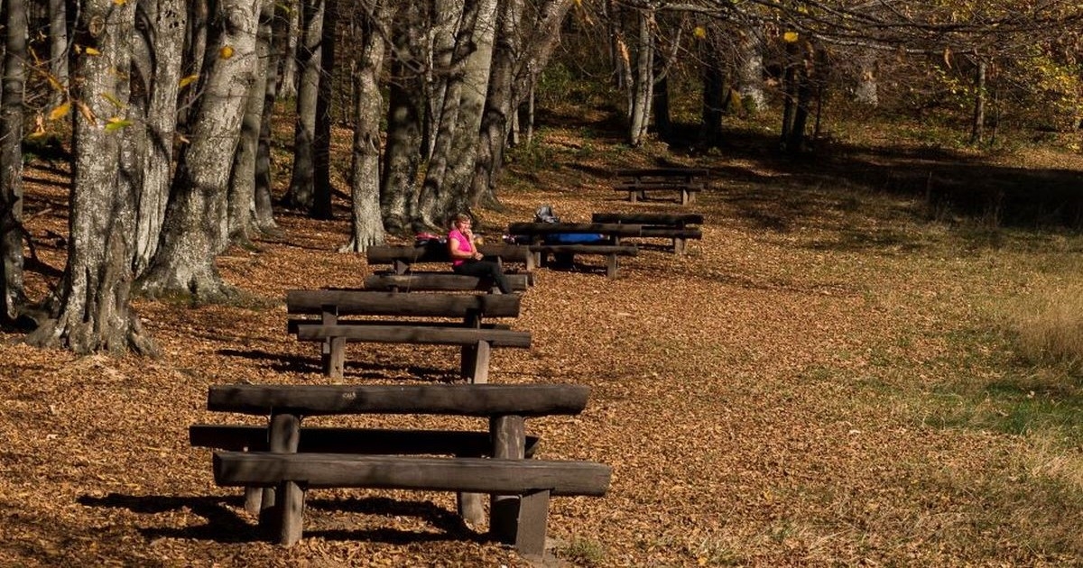 FOTO Nestvarni prizori s jesenskog Sljemena: Građani na Sve svete u kratkim rukavima