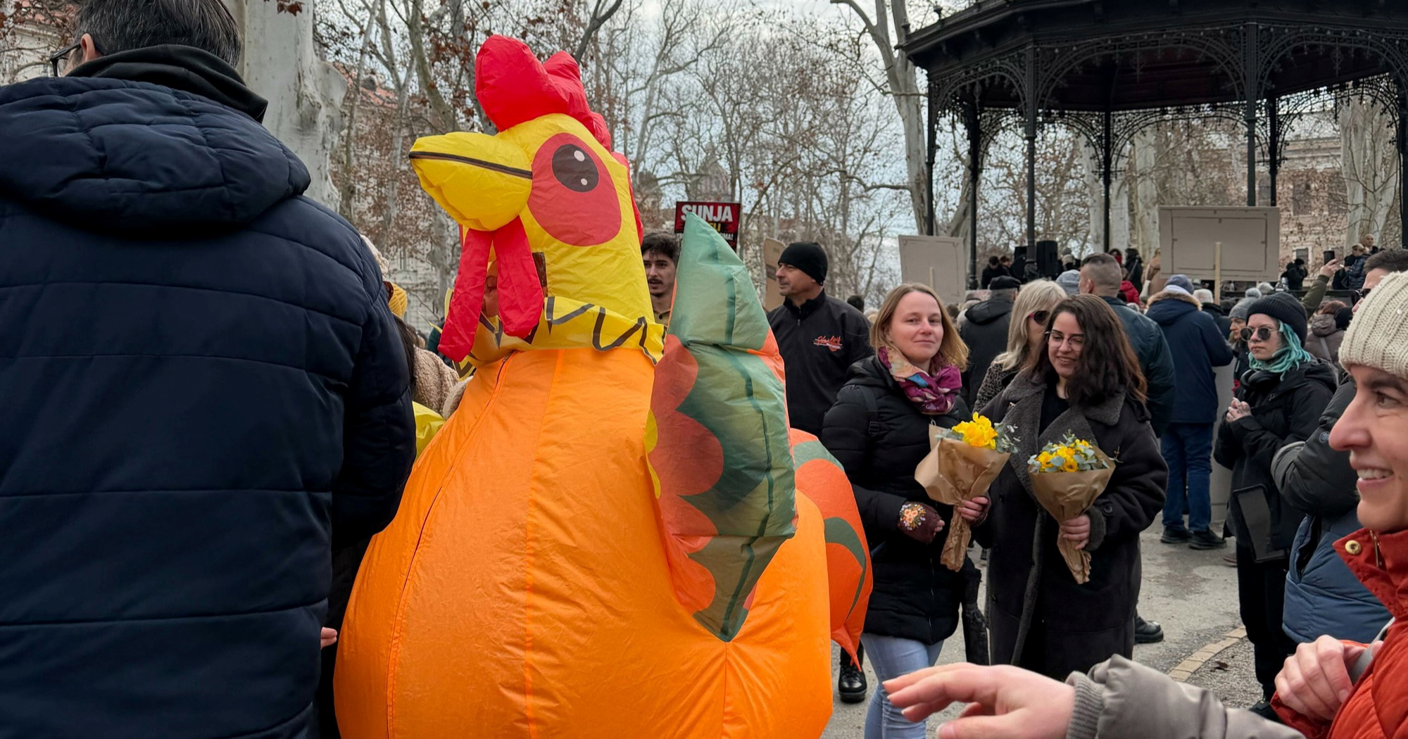 Netko prosvjedovao protiv sisačke farme pilića u kostimu koke