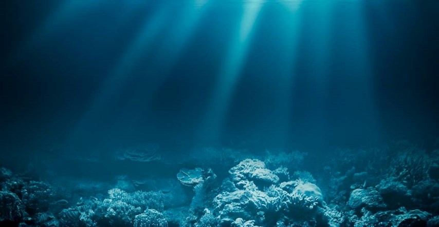 Na dnu Indijskog oceana otkriveno neobjašnjivo groblje morskih pasa