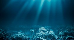 Na dnu Indijskog oceana otkriveno neobjašnjivo groblje morskih pasa
