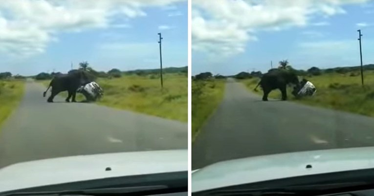 Slonu se nije svidio Fordov SUV pa ga je prevrnuo