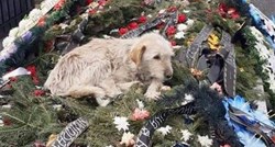 Pas sjedi na grobu u Slatini u Rumunjskoj već dva tjedna. Rođaci pokojnika ga ne žele