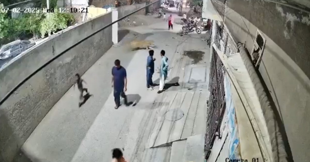 VIDEO Lav pobjegao iz kuće u Pakistanu, napao ženu i djecu, vlasnici uhićeni