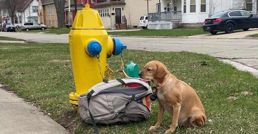 Tužna priča: Psa vezali za vatrogasni hidrant pa ga zauvijek napustili