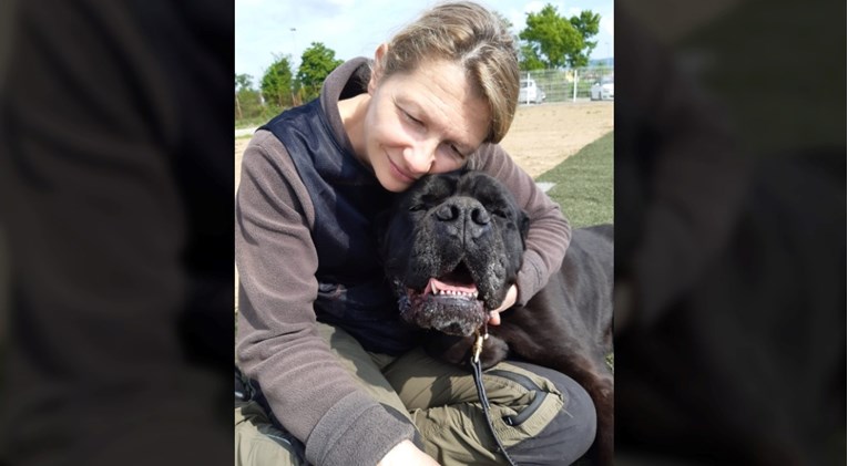 Pas kojeg su htjeli uspavati nakon napada u Zagrebu prošao zadnji test i čeka obitelj
