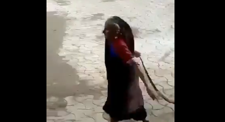 VIDEO Baka na ulici uhvatila ogromnu kobru i za rep je odvukla od djece