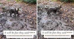 Pas u šetnji pronašao blato i počeo se valjati, video će vam izmamiti osmijeh na lice