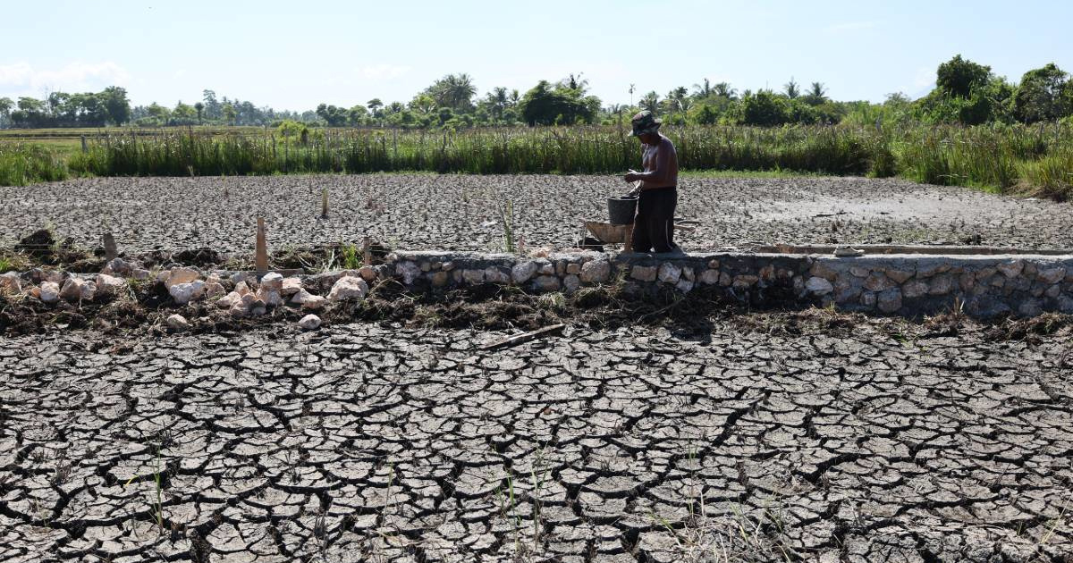 El Niño se vratio. Svijetu prijete ekstremne vrućine i rast cijena hrane