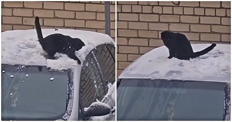 VIDEO Ova crna mačka obožava snijeg, pogledajte kako se igra