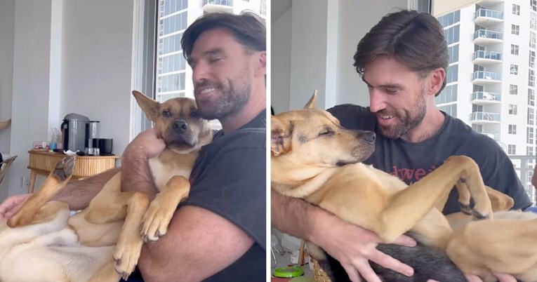 Udomljeni pas želi da ga vlasnik drži kao bebu, video će vam uljepšati dan