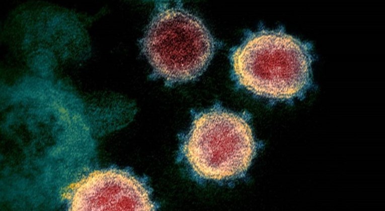 Novi soj koronavirusa P.1 došao je do Europe. Što znamo o njemu?