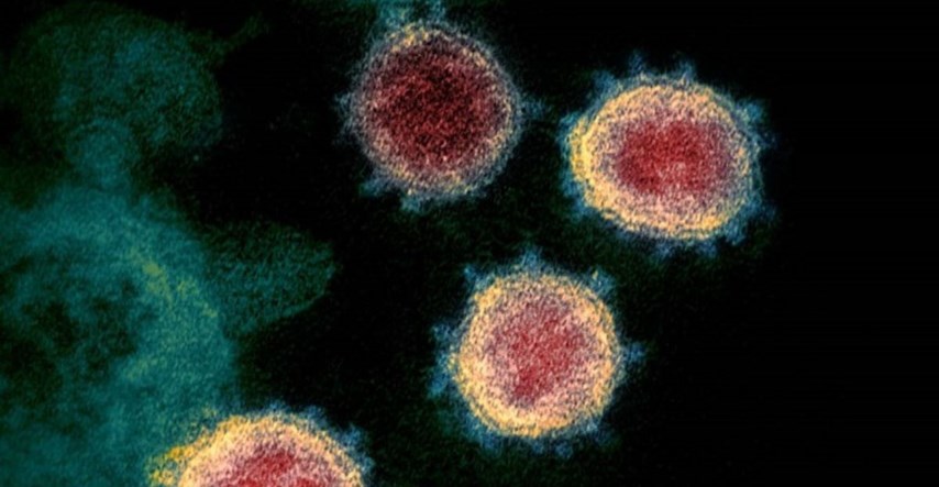 Novi soj koronavirusa P.1 došao je do Europe. Što znamo o njemu?
