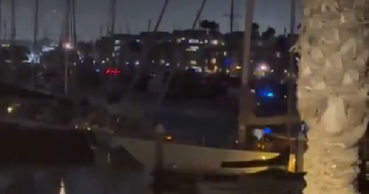 VIDEO Policijski helikopteri lete duž obale LA-a. Upozoravaju ljude na tsunami