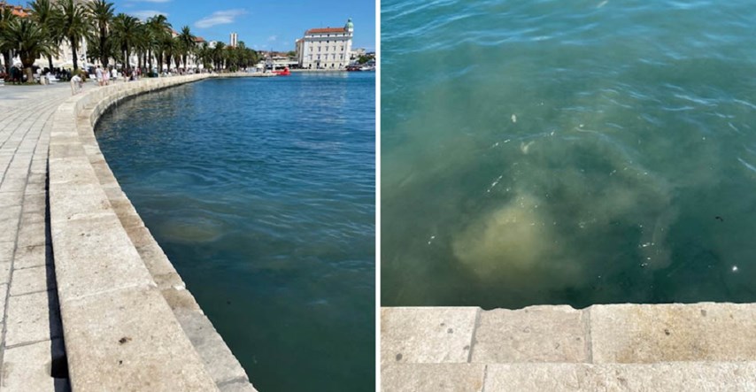 VIDEO Turisti u Splitu gledali kako u more curi kanalizacija: "Smrad je bio neopisiv"