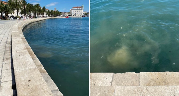 VIDEO Turisti u Splitu gledali kako u more curi kanalizacija: "Smrad je bio neopisiv"
