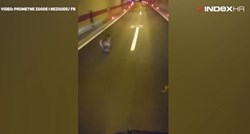 VIDEO Mali medo zalutao u tunel u Lici, snimili ga kako bježi